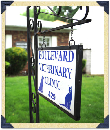 kenilworth veterinary clinic in nj